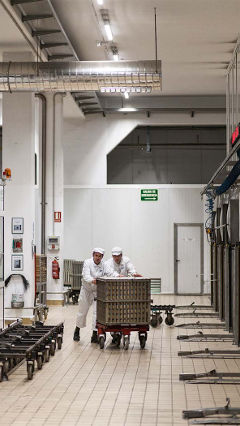 Два человека работают на фабрике Hero, освещенной с помощью световых решений Philips для пищевой промышленности