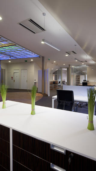 Яскраво освітлений виставковий зал Haworth зі світлотехнікою Philips для офісів 