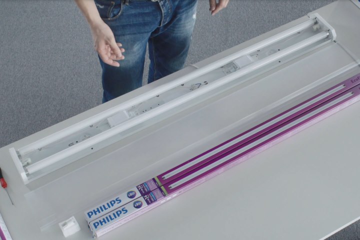 Master LED tube 
