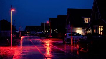 Спеціальна схема освітлення для захисту вразливої флори та фауни