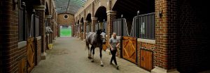 Стайня Борн Хілл створила безпечне середовище за допомогою опромінювання УФ-С